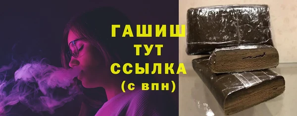 гашик Мегион