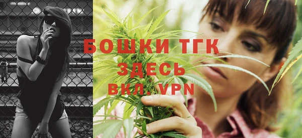 шишки Медногорск